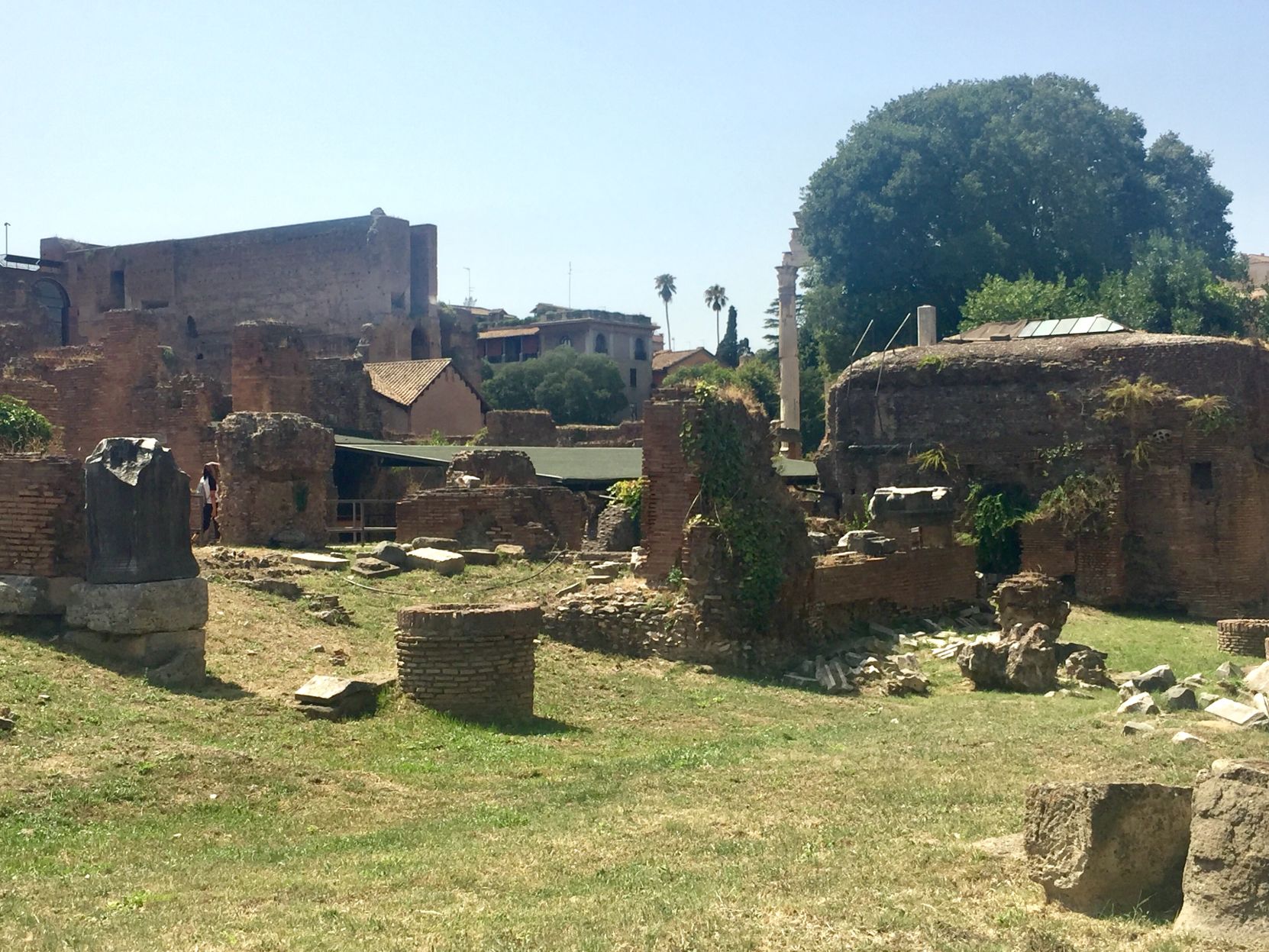 Ruins of various buildings as we walked into the Roman Forum after passing through the “Titus Arch.”